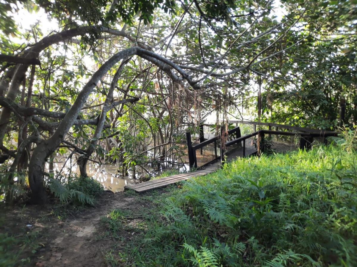 18 The Bridge, St Lucia Leilighet Eksteriør bilde